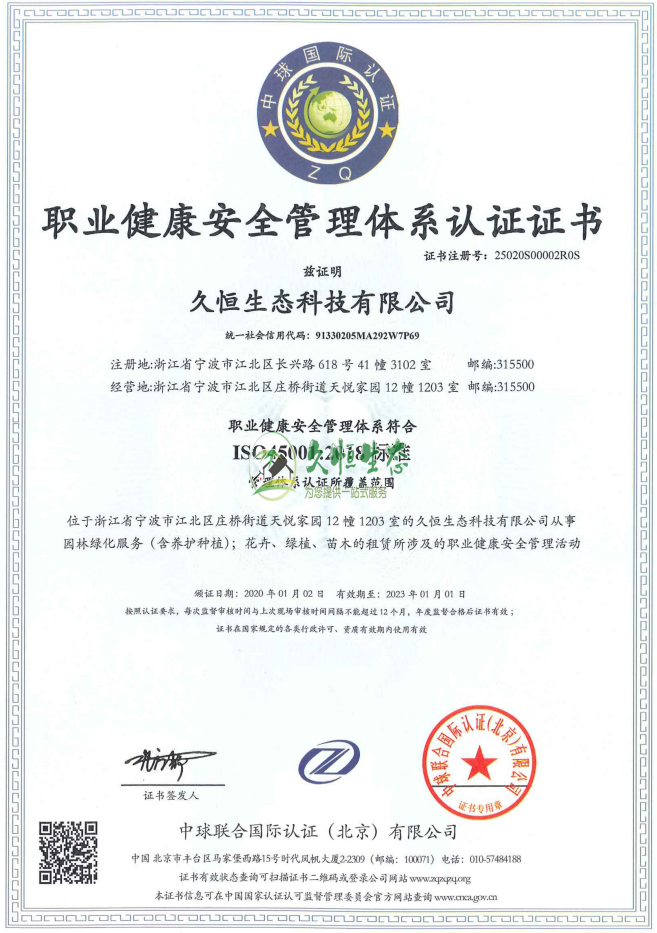 溧水职业健康安全管理体系ISO45001证书